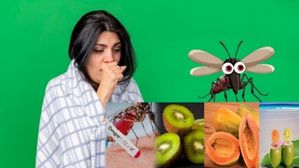 హెచ్చరిక... భారతదేశంలో వ్యాప్తి చెందుతున్న డెంగ్యూ యొక్క ప్రమాదకరమైన జాతి: దాని లక్షణాలు ఏమిటి?