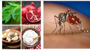 Dengue diet: డెంగ్యూ నుంచి త్వరగా కోలుకోవాలంటే మీరు రోజూ తినే ఆహారంలో వీటిని చేర్చుకోండి