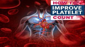 Fight With Dengue: డెంగ్యూ జ్వరం రాకుండా ఉండాలంటే రక్తంలో ప్లేట్‌లెట్ కౌంట్‌ని ఎలా పెంచుకోవాలో తెలుసా?