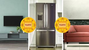 Vastu Tips:వాస్తు ప్రకారం టీవీ, ఫ్రిజ్, సోఫా ఏ దిక్కున పెట్టాలో తెలుసా?