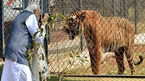 ఒక్క క్లిక్.. ఎన్నో భావాలకు లాజిక్.. నేడు వరల్డ్ ఫొటోగ్రఫీ డే..