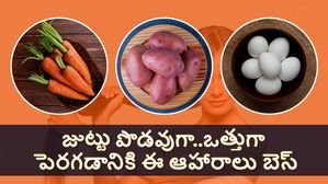 జుట్టు పొడవుగా మరియు ఒత్తుగా పెరగడానికి సహాయపడే ఆహారాలు