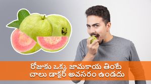 రోజుకి ఒక్క జామకాయ తింటే చాలు..ఈ ప్రమాదకరమైన ఆరోగ్య సమస్యలను దూరం చేస్తుంది!