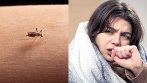 Dengue: డెంగ్యూ నుండి కోలుకున్న తర్వాత కూడా ఈ దుష్ప్రభావాలు తప్పవు!