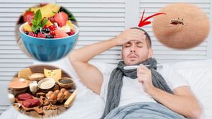 Foods For Dengue Patients: మీరు డెంగ్యూ జ్వరంతో బాధ పడుతుంటే ఈ ఆహారాలు తినండి.. త్వరగా కోలుకోండి...