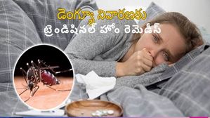  Dengue Fever: డెంగ్యూ నివారణకు అల్లం రసం, పసుపు పాలు మరియు ఇతర సాంప్రదాయ ఇంటి నివారణలు!