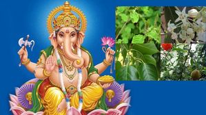Ganesh Chaturthi 2023: వినాయక చవితి రోజున, గణేషుడుని 21 రకాల ఆకులతో ఎందుకు పూజిస్తారు?