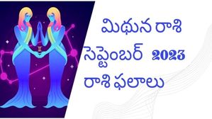 Mithuna Rashi(Gemini)September Horoscope: ఈ మాసం మిథునరాశి వారికి ఒక వరం, కేవలం ఈ పనికి దూరంగా ఉండండి