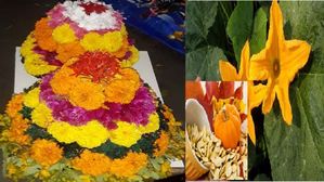 Bathukamma 2023:బతుకమ్మ గుమ్మడి పువ్వులో ఆశ్చర్యపరిచే అద్భతు ఔషధ గుణాలెన్నో..ఎన్నో వ్యాధులను నయం చేస్తుంది