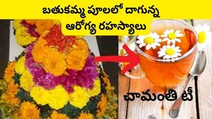 Bathukamma 2023: బతుకమ్మ పూలలో చామంతి:  చామంతి ‘‘టీ’’ లో అద్భుతమై ఆరోగ్య ప్రయోజనాలు