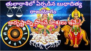 Budhaditya Rajyogam 2023: బుధాదిత్య రాజయోగం వల్ల ఆర్థిక లాభాలు పొందే 5 రాశుల వారు ఎవరో తెలుసా?