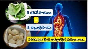 రోజూ ఉదయాన్నే 5 కరివేపాకు మరియు 1 వెల్లుల్లిపాయ తింటే శరీరంలో ఎలాంటి అద్భుతాలు జరుగుతాయో తెలుసా?