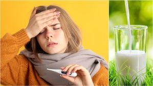 జ్వరం మరియు జలుబు సమయంలో మీరు పాలు తాగవచ్చా? వైద్య నిపుణులు ఏం చెబుతున్నారు?