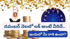 November 2023 Lucky Zodiacs: నవంబర్ నెలలో ఈ 3 రాశుల వారిపై ధన వర్షం కురుస్తుంది..లక్ అంటే వీరిదే