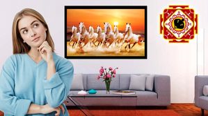  వాస్తు ప్రకారం 7 గుర్రాల పెయింటింగ్ కానీ..ఫోటో కానీ ఇంటికి ఏ దిక్కున పెట్టాలి? ఎక్కడ పెట్టకూడదు?