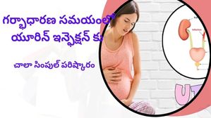 UTI During Pregnancy: గర్భధారణలో యూరినరీ ట్రాక్ట్ ఇన్ఫెక్షన్ (UTI): ఎలా నివారించాలి, చికిత్స ఏమిటి?