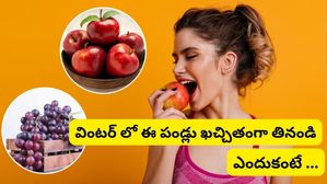 5 Best Winter Fruits: చలికాలంలో 'ఈ' 5 పండ్లను తప్పక తినాలి... ఎందుకంటే?