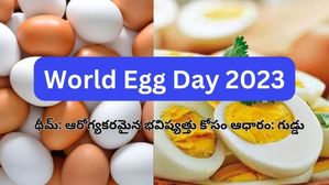 World Egg Day 2023: ప్రపంచ గుడ్డు దినోత్సవాన్ని ఎందుకు జరుపుకుంటారు? దాని ప్రాముఖ్యత ఏమిటి?