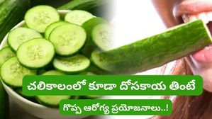 Cucumber Benefits: ఈ చలికాలంలో కూడా దోసకాయ తినండి, మీ ఆరోగ్యానికి అనేక ప్రయోజనాలను పొందుతారు.