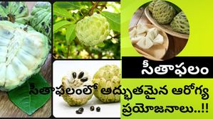 Custard Apple-సీతాఫలం: సీతాఫలంలో చిన్న చితక కాదు.. అతి పెద్ద ప్రయోజనాలు ఉన్నాయి.!
