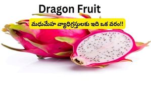  ఈ పండు చక్కెర స్థాయిని పెంచడానికి అనుమతించదు. మధుమేహ వ్యాధిగ్రస్తులకు ఇది ఒక వరం