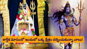 కార్తీక మాసం: శివుని పన్నెండు జ్యోతిర్లింగాలు ఉన్న పవిత్ర పుణ్యక్షేత్రాలు ఎక్కడ ఉన్నాయో తెలుసా?