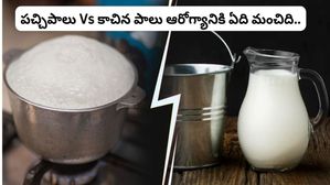  Raw Vs Boiled Milk: పాలు ఎలా తాగాలి? ఏ పాలు ఆరోగ్యానికి మేలు చేస్తుంది, పచ్చి పాలు లేదా కాచిన పాలు?
