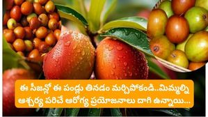 ఇండియన్ జుజుబి: ఈ సీజన్ లో ఈ పండ్లు తినడం మర్చిపోకండి..వీటిలో ఆరోగ్య రహస్యాలు చాలా దాగి ఉన్నాయి..