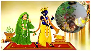 Tulsi Vivah 2023 : కార్తీక మాసంలో తులసి వివాహం జరుపుకునే విధానం గురించి తెలుసుకోండి...