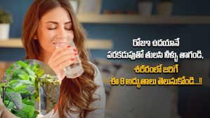 Tulsi Water Benefits: రోజూ ఉదయాన్నే తులసి నీళ్లు తాగితే మీ శరీరంలో జరిగే ఈ అద్భుతాలు చూడండి