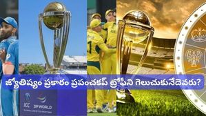 ICC World Cup 2023 Final: జ్యోతిష్యం ప్రకారం ప్రపంచకప్ ఫైనల్‌లో ఏ జట్టు ట్రోఫీని గెలుచుకుంటుంది?
