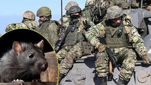 Mouse Fever: ఎలుకల ద్వారా వ్యాపించే వ్యాధి మౌస్ ఫీవర్, దీని లక్షణాలు ఇలా ఉంటాయి..జాగ్రత్త..