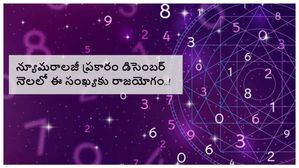 డిసెంబర్ న్యూమరాలజీ 2023: న్యూమరాలజీ ప్రకారం డిసెంబర్ నెలలో ఈ సంఖ్యకు రాజయోగం..!