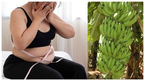 ఈ అరటిపండ్లు మీ బరువును తగ్గించడమే కాదు, ఈ అద్భుతమైన ప్రయోజనాలను కూడా ఇస్తాయి..మిస్ అవ్వకండి.!