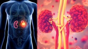 మీకు ఈ అలవాట్లు ఉంటే మీ కిడ్నీ అంతే.. త్వరగా పాడవుతాయి జాగ్రత్త..! ఈ రోజే ఈ అలవాట్లకు బైబై చెప్పండి