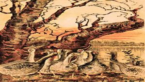 ఈ చిత్రంలో దాగి ఉన్న నక్కను గుర్తించగలరా? ఈ విషయం 7లో ఒకరు మాత్రమే తెలుసుకోగలరు..