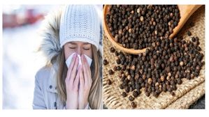 శీతాకాలం: సాధారణ జలుబును నివారించడానికి మిరియాలు ఎలా ఉపయోగించాలి? 