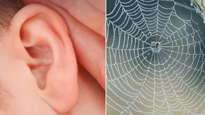 SHOCKING! మహిళ చెవిలో సాలీడు..మీకు గూస్‌బంప్స్ గ్యారెంటీ!