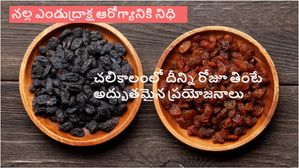 చలికాలంలో నలుపు ఎండు ద్రాక్ష తప్పని సరిగా తినాలి ఎందుకో తెలుసా?ఆశ్చర్యం కలిగించే ప్రయోజనాలున్నాయి..