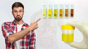 మూత్రం పసుపు రంగులో ఎందుకు ఉంటుందో తెలుసా..? అసలు రహస్యం ఇదే !