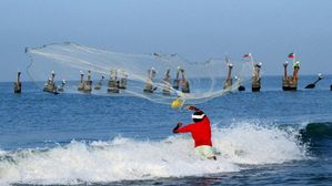 సముద్రంలో చేపలు లేకపోతే ఏమవుతుంది..!? ఎన్ని జీవులు అంతం కాబోతున్నాయి..!