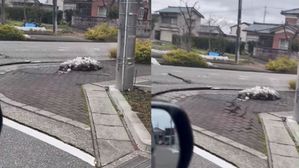 జపాన్ లో భూకంపం దృశ్యాలు వైరల్: ఇవి చూస్తుంటే గూస్ బప్స్ వస్తాయి..