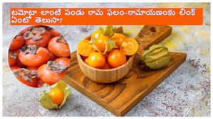 టమోటా లాంటి ఈ పండును రామ ఫలం అని ఎందుకు పిలుస్తారు?ఈ పండుకు రామాయణంతో సంబంధం ఏంటో తెలుసా