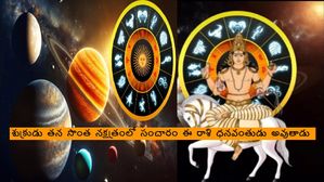 శుక్రుడు తన సొంత నక్షత్రంలో సంచారం: ఈ 3 రాశులకు ధనవంతులు అయ్యే అవకాశాలు ఎక్కువ