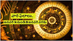 వారఫలాలు (జనవరి 14-20) : మకర సంక్రాంతి శుభాకాంక్షలు: ఈ వారం మీ రాశికి ఎలా ఉంటుందో చూడండి