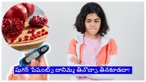 మధుమేహ వ్యాధిగ్రస్తులు దానిమ్మ తినొచ్చా..తినకూడదా? డాక్టర్లు ఏం చెబుతున్నారో తెలుసా?