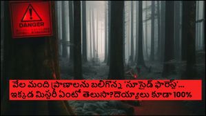వేల మంది ప్రాణాలను బలిగొన్న 'సూసైడ్ ఫారెస్ట్'... ఇక్కడ మిస్టరీ ఏంటో తెలుసా?100%దెయ్యాలు కూడా ఉంటాయి