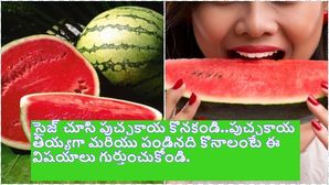 సైజ్ చూసి పుచ్చకాయ కొనకండి..పుచ్చకాయ తియ్యగా మరియు పండినది కొనాలంటే ఈ విషయాలు గుర్తుంచుకోండి.