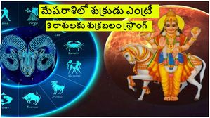 ఏప్రిల్ 24 మేషరాశిలో శుక్రుడు ఎంట్రీ ఈ  3 రాశులకు శుక్రదశ ప్రారంభం.. వ్యాపారంలో మంచి లాభాలను పొందుతారు.