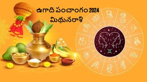  ఉగాది పంచాంగం 2024-25: మిథున రాశి వారికి ఈ కొత్త సంవత్సరంలో అదృష్ట కలిసొస్తుందా?